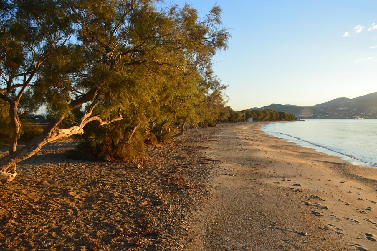 Thalasea - Village Antiparos Ngoại thất bức ảnh